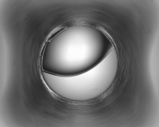 X0000086241434200703290956