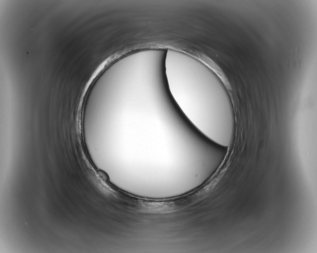 X0000086241436200703290956
