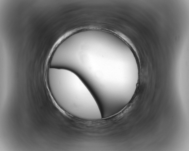 X0000086241437200703290956