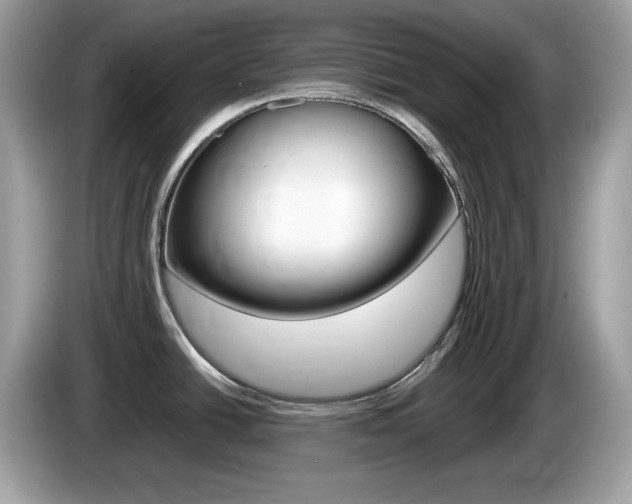 X0000086241438200703290956