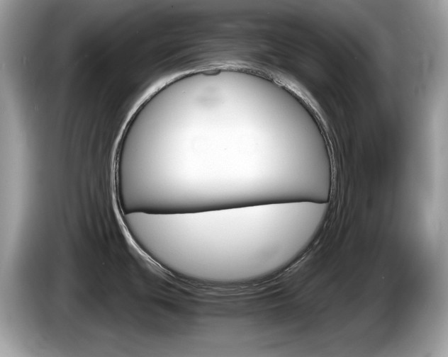 X0000086241439200703290956