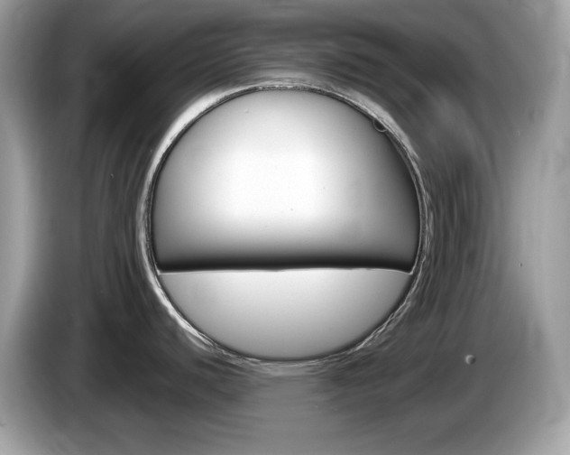 X0000086241440200703290956
