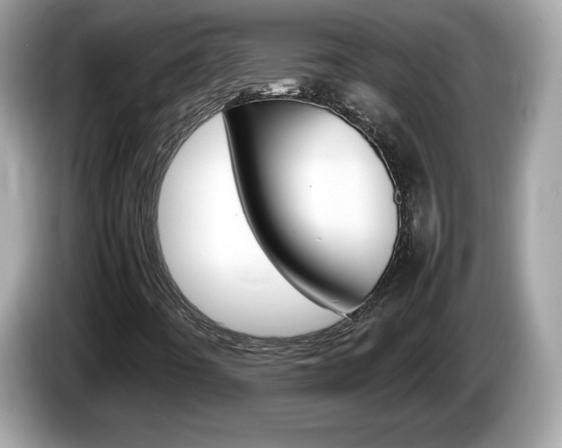 X0000086241442200703290955