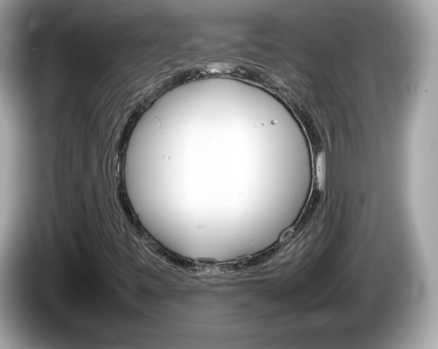 X0000086241443200703290955