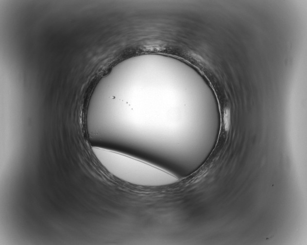 X0000086241444200703290955