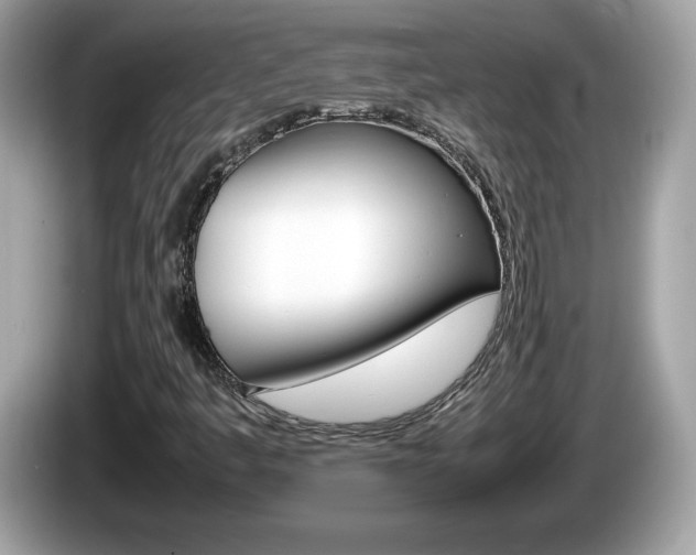 X0000086241445200703290955