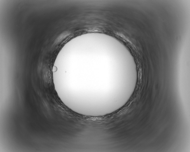 X0000086241446200703290955