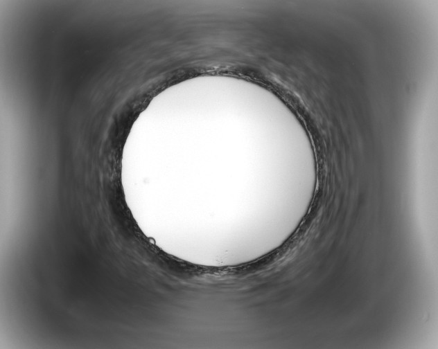 X0000086241447200703290955