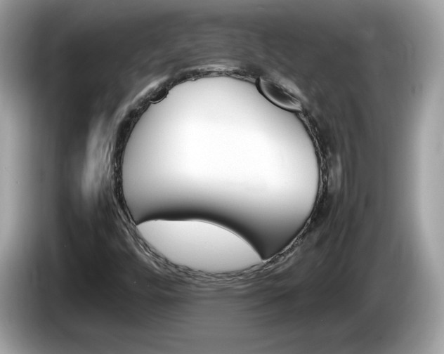 X0000086241448200703290955