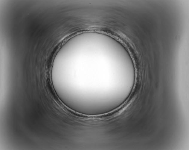 X0000086241449200703290955
