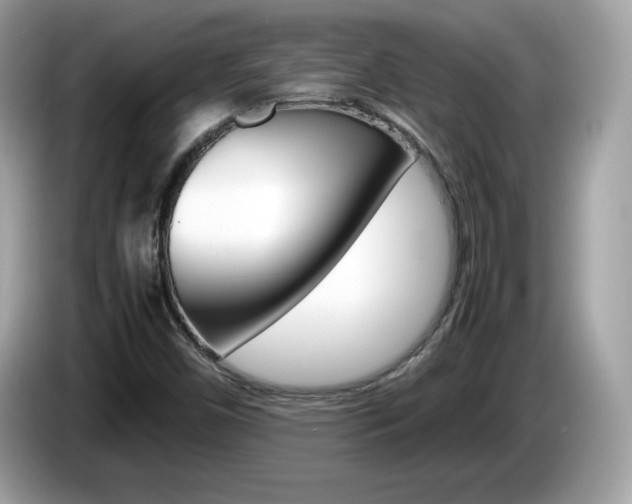 X0000086241450200703290955