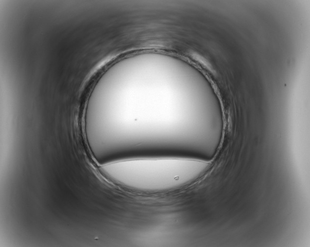 X0000086241452200703290955