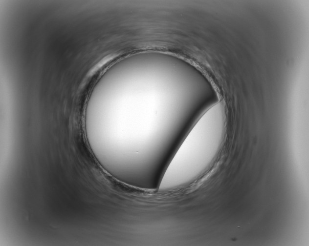X0000086241453200703290955