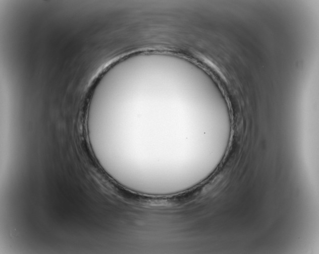 X0000086241455200703290955