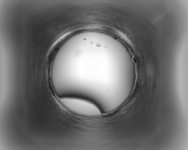 X0000086241456200703290955