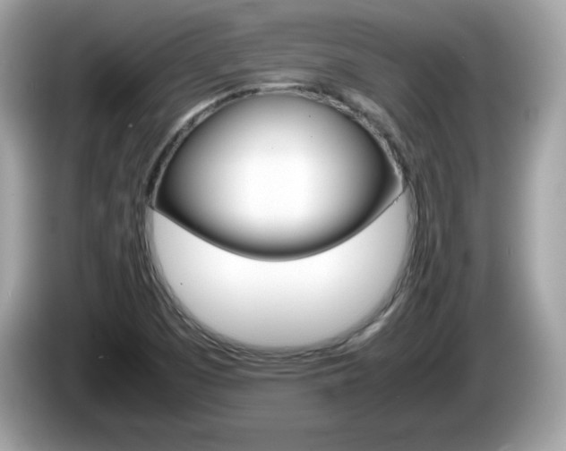 X0000086241457200703290955