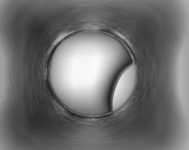 X0000086241459200703290955