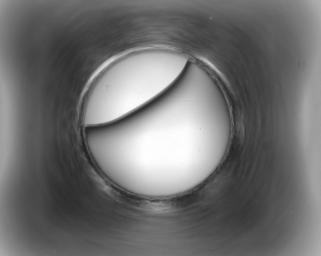 X0000086241460200703290955