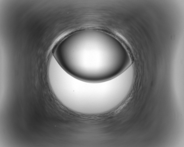 X0000086241461200703290955