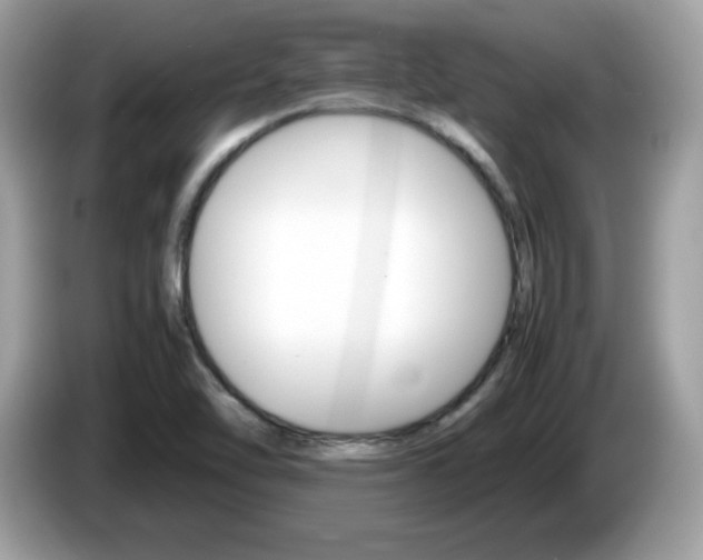 X0000086241462200703290955