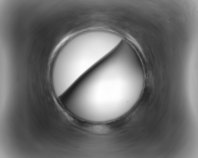 X0000086241464200703290955