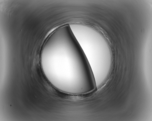 X0000086241465200703290955