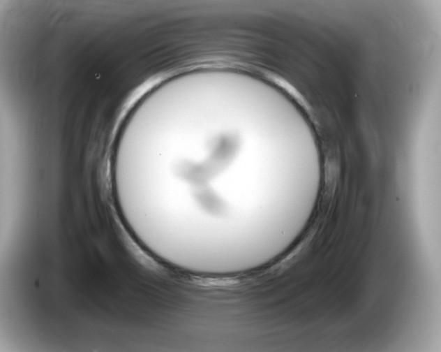 X0000086241466200703290955