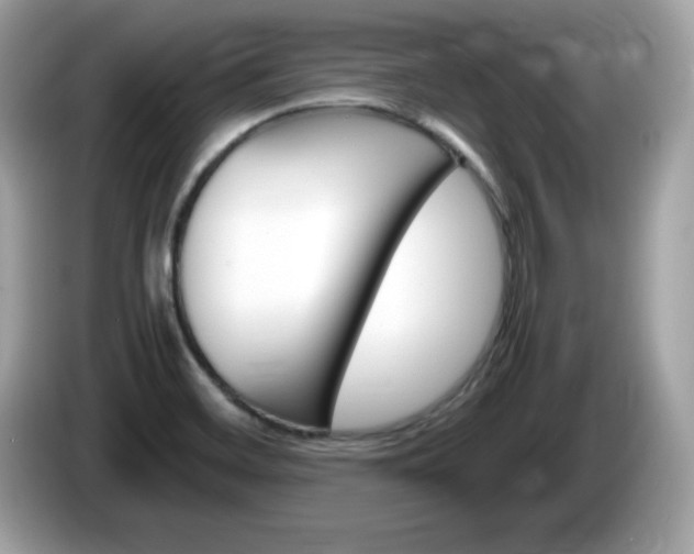 X0000086241468200703290955
