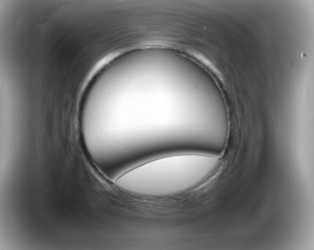 X0000086241469200703290955