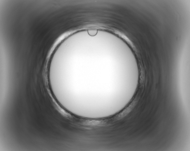 X0000086241470200703290955