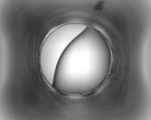 X0000086241473200703290955