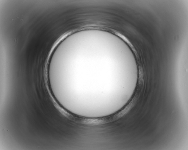 X0000086241474200703290954