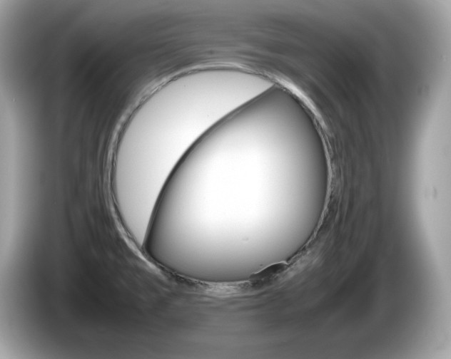 X0000086241477200703290954