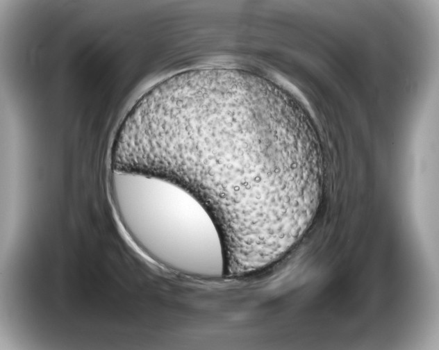 X0000086241479200703290954