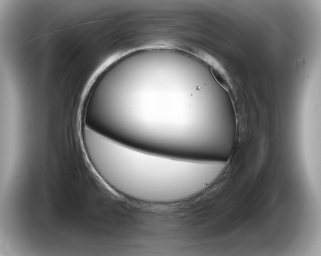 X0000086241480200703290954