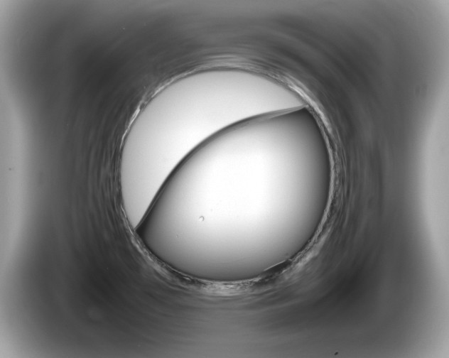 X0000086241481200703290954