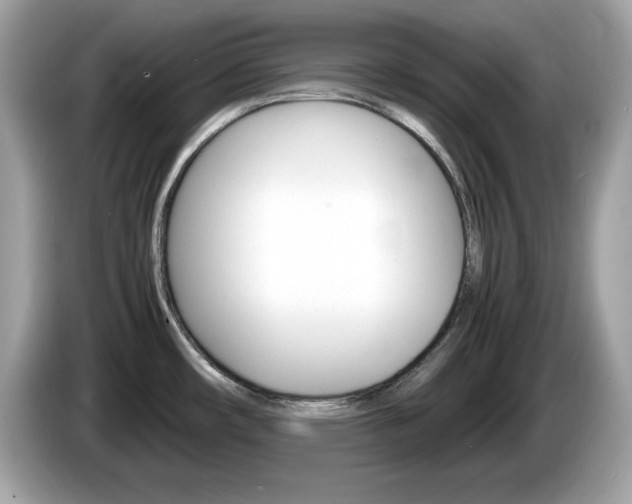 X0000086241482200703290954