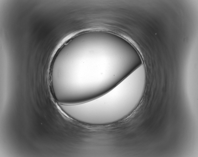 X0000086241485200703290954