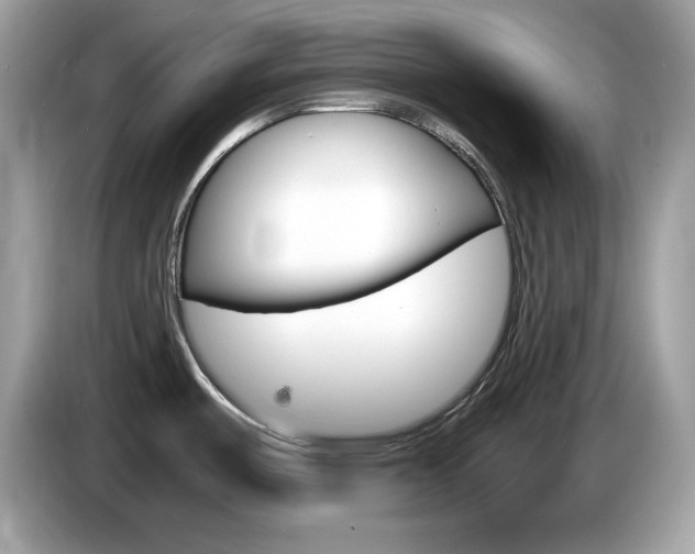 X0000086241487200703290954