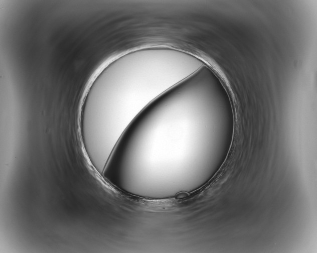 X0000086241488200703290954