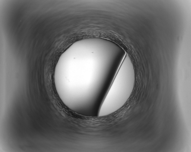 X0000086241489200703290954