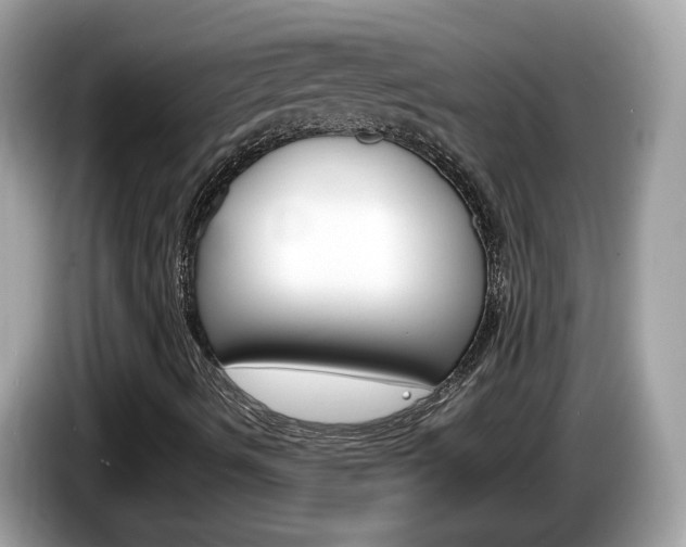 X0000086241490200703290954