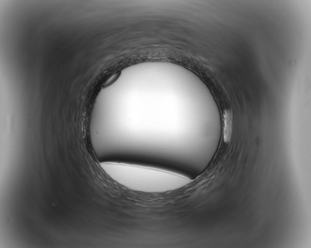 X0000086241491200703290954