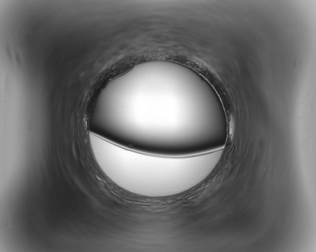 X0000086241492200703290954