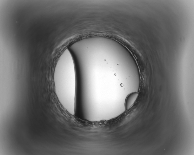 X0000086241494200703290954