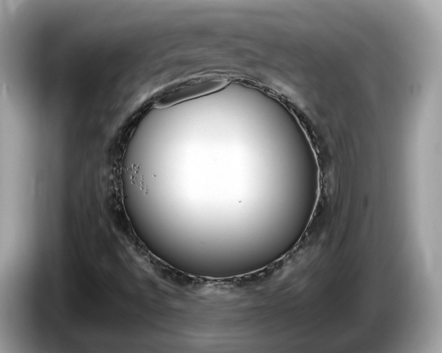 X0000086241496200703290954