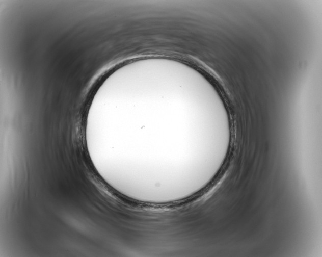 X0000086241498200703290954