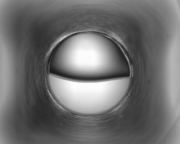 X0000086241500200703290954