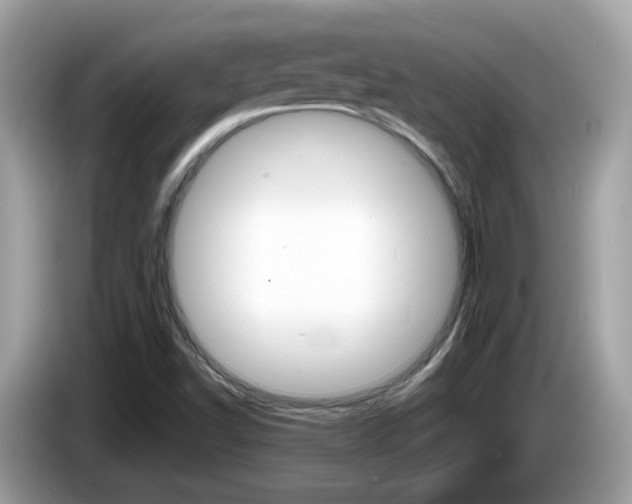 X0000086241502200703290954
