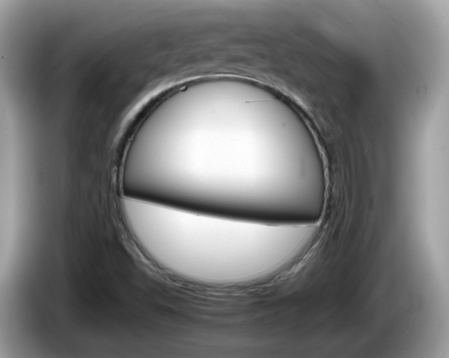 X0000086241503200703290954
